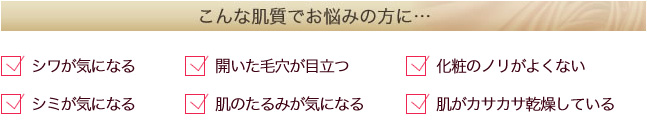 こんな肌質でお悩みの方に